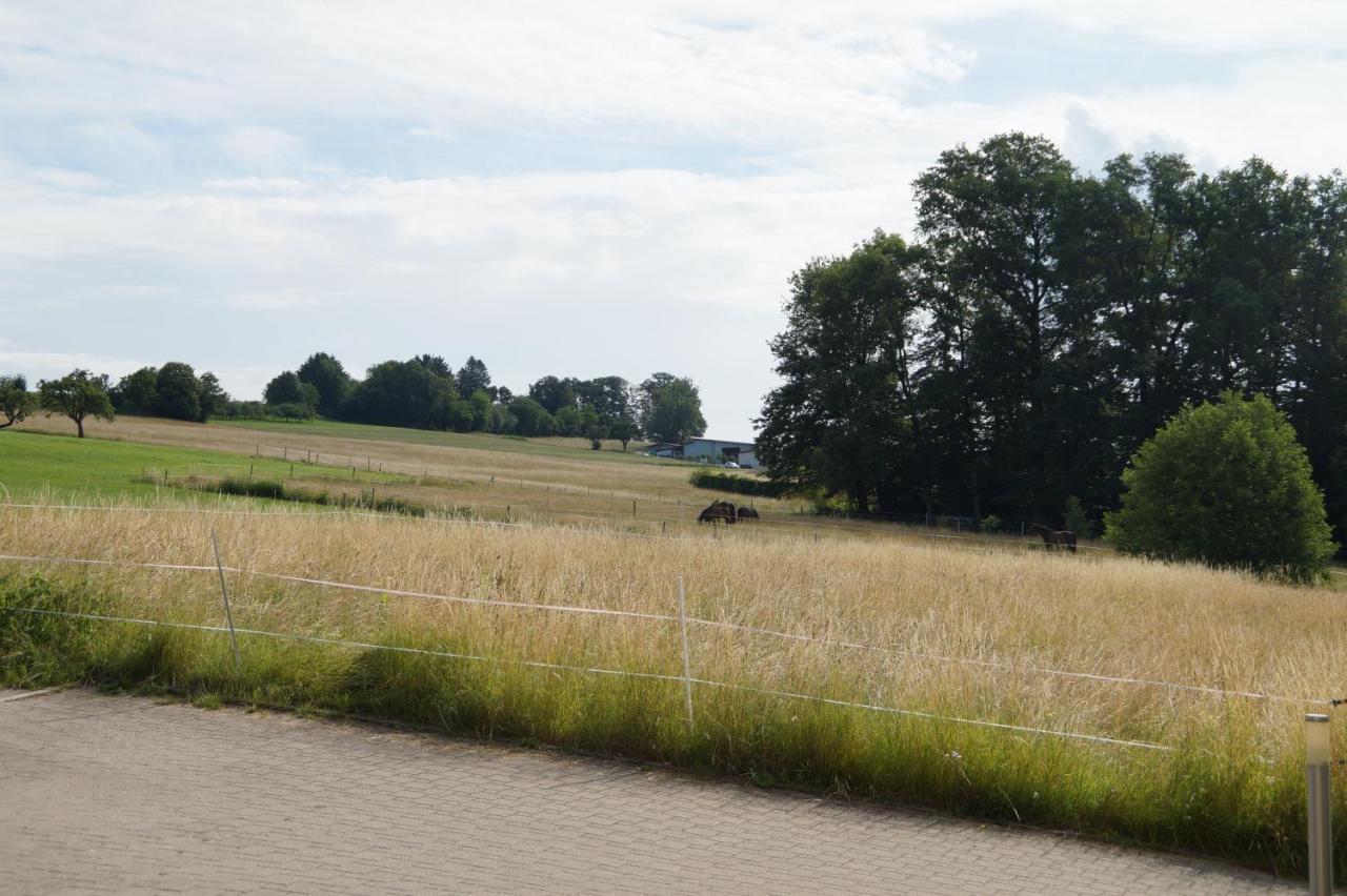 Ferienwohnung Murg Niederhof エクステリア 写真
